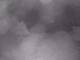 Rhede 01.05.2025 02:23
