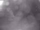 Rhede 19.05.2025 02:23