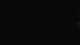 La Turballe 15.06.2025 02:23