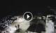 Punta Secca 06.07.2025 02:24
