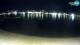 Novalja (Pag) 15.06.2025 02:26