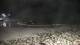 Malpica 10.07.2025 02:27