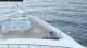 Norwegian Dawn 15.06.2025 02:27