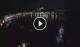Skyros 11.07.2025 02:27