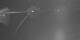 AIDAbella 06.07.2025 02:50