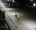 De Panne 20.05.2025 02:29