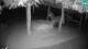 Lubiana 10.07.2025 02:28