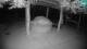 Lubiana 30.04.2025 02:29