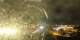 Zermatt 06.07.2025 02:17
