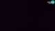 Rogla 09.06.2025 02:29