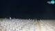 Bibione 02.07.2025 02:28