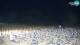 Bibione 09.06.2025 02:29