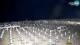 Bibione 02.07.2025 02:28