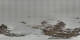 St. Moritz 19.03.2025 02:29