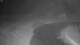 Corpus Christi, Texas 29.04.2025 02:31