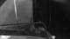 Le Ponant 01.05.2025 02:34