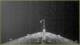 Le Lyrial 01.05.2025 02:34