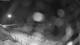 Plouescat 10.07.2025 02:23