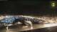 Marseille 11.07.2025 02:26