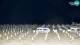 Bibione 21.06.2025 02:31