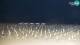 Bibione 12.06.2025 02:32