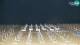 Bibione 30.04.2025 02:32