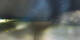 Graz 30.04.2025 02:32