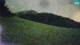 Kranjska Gora 04.07.2025 02:33