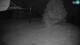 Cerkno 15.06.2025 02:34