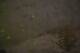 Thyon 09.05.2025 02:36