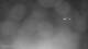 Puerto Rey 02.07.2025 02:34