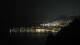 Mortola 01.05.2025 02:34