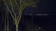 Markgrafenheide 01.05.2025 02:35