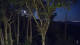 Markgrafenheide 11.07.2025 02:34