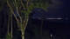 Markgrafenheide 21.05.2025 02:35