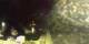 Sarzeau 20.06.2026 02:07