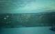 Murmansk 01.05.2025 02:45