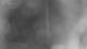 Henne 28.10.2026 02:34