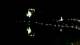 Bled 30.06.2025 02:51