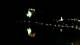 Bled 03.07.2025 02:51
