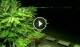 Soverato 10.07.2025 02:52