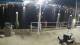 Placida, Florida 30.04.2025 02:50