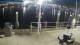 Placida, Florida 30.04.2025 02:50