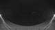 Griffen 09.06.2025 02:54