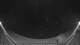Griffen 08.07.2025 02:54