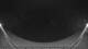 Griffen 30.04.2025 02:54