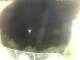 Morcone (Elba) 15.06.2025 02:55