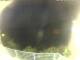 Elba - Morcone 09.06.2025 02:55