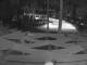Punta Cana 05.06.2025 02:51