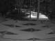 Punta Cana 12.07.2025 02:51